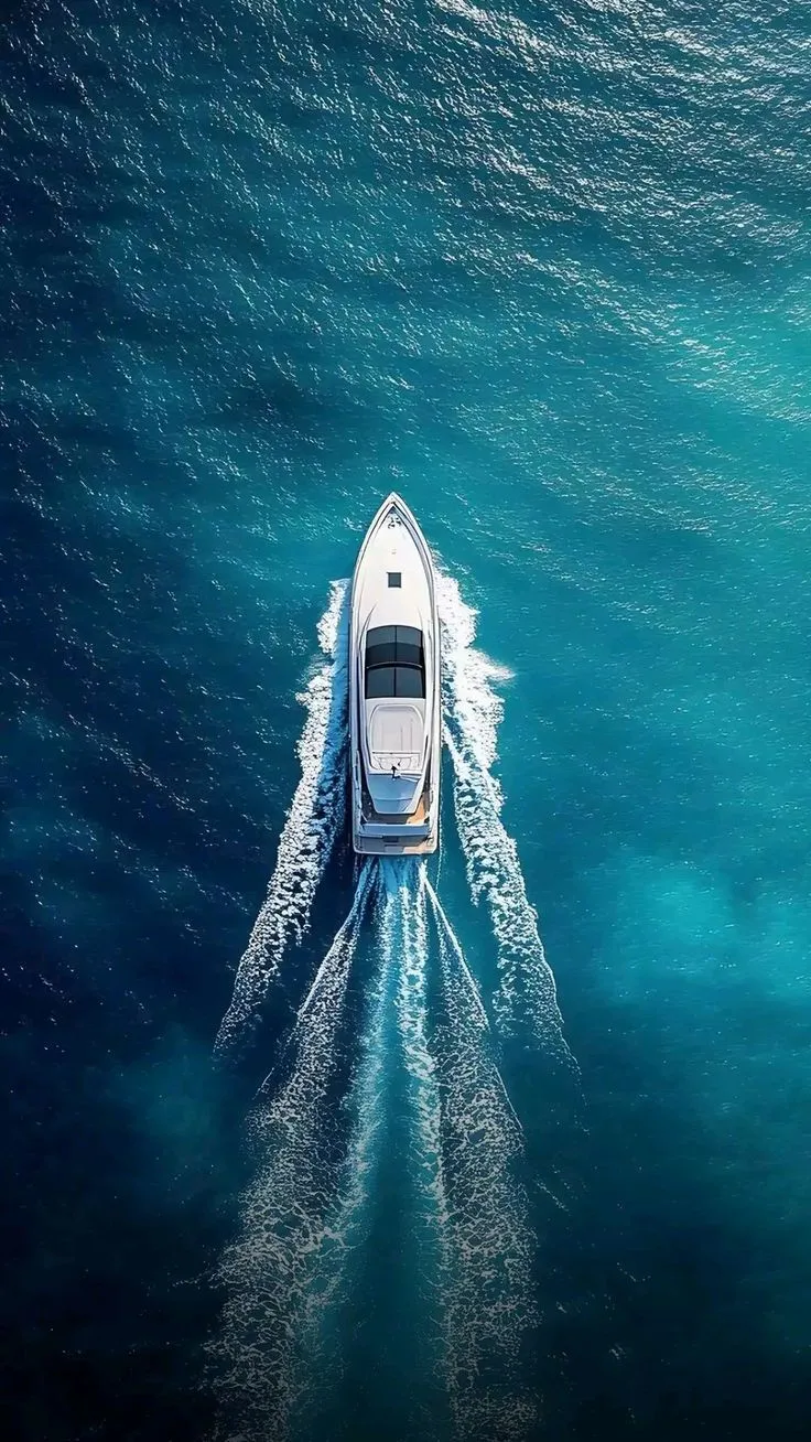 Ocean & Sea Expeditions (International)