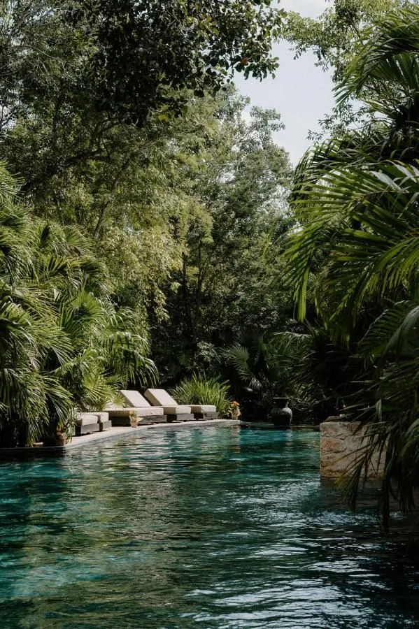 High-End Resorts & Corporate Venues